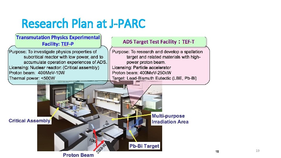 Research Plan at J-PARC 19 