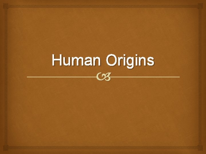 Human Origins 