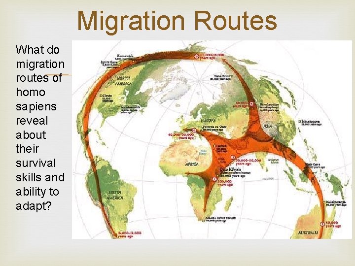 Migration Routes What do migration routes of homo sapiens reveal about their survival skills