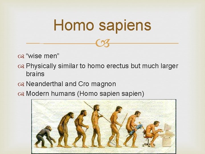 Homo sapiens “wise men” Physically similar to homo erectus but much larger brains Neanderthal