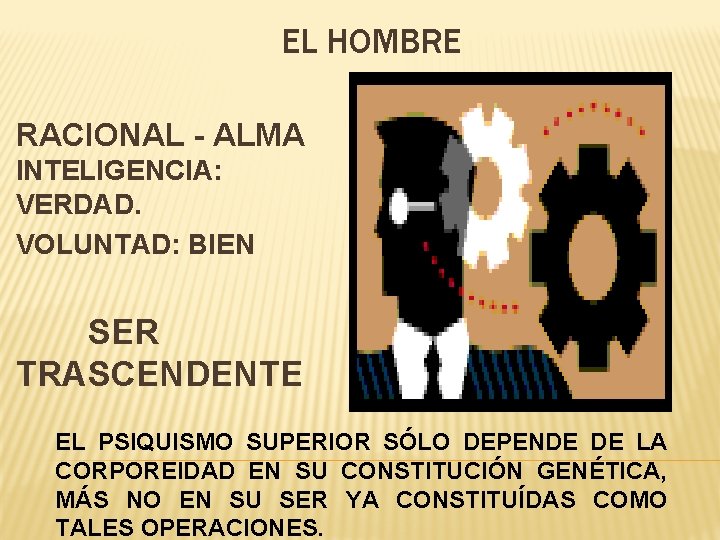 EL HOMBRE RACIONAL - ALMA INTELIGENCIA: VERDAD. VOLUNTAD: BIEN SER TRASCENDENTE EL PSIQUISMO SUPERIOR