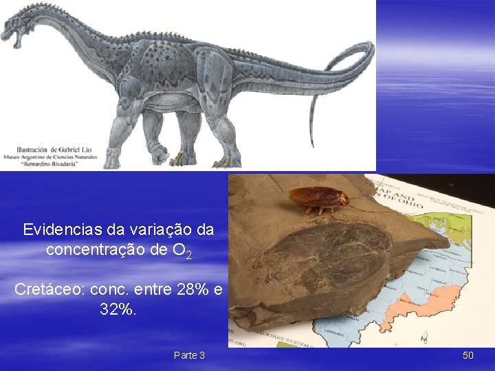 Evidencias da variação da concentração de O 2 Cretáceo: conc. entre 28% e 32%.