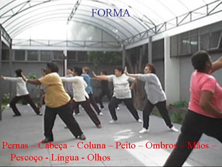 FORMA Pernas – Cabeça – Coluna – Peito – Ombros – Mãos – Pescoço