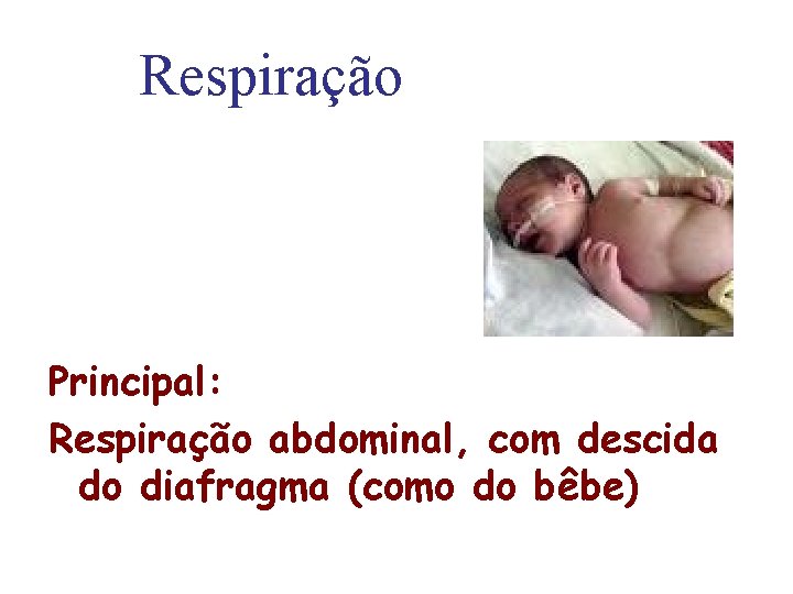 Respiração Principal: Respiração abdominal, com descida do diafragma (como do bêbe) 