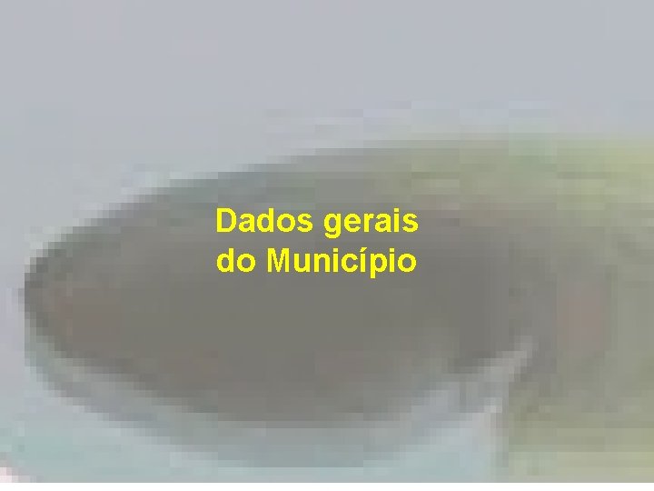 Dados gerais do Município 