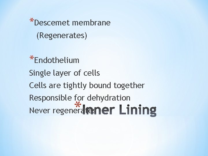 *Descemet membrane (Regenerates) *Endothelium Single layer of cells Cells are tightly bound together Responsible