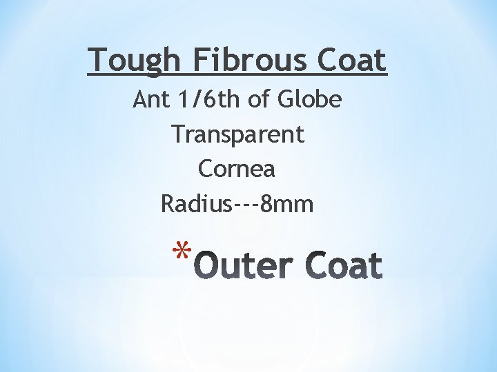 Tough Fibrous Coat Ant 1/6 th of Globe Transparent Cornea Radius---8 mm * 