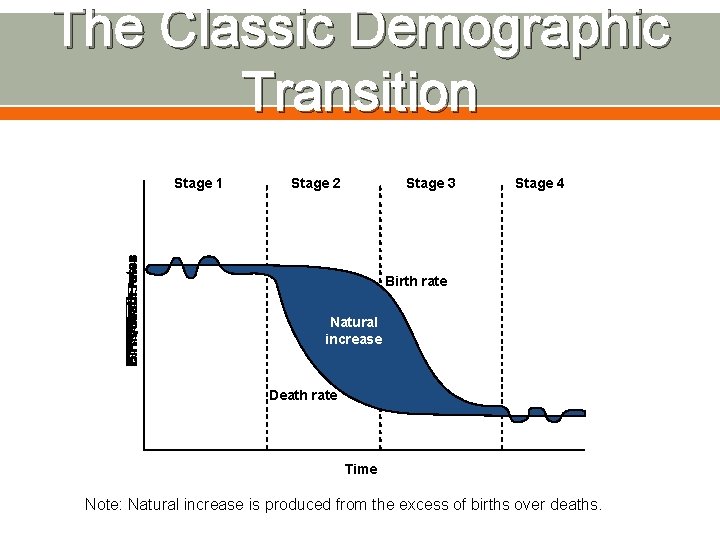 The Classic Demographic Transition Stage 1 Stage 2 Stage 3 Stage 4 Birth rate