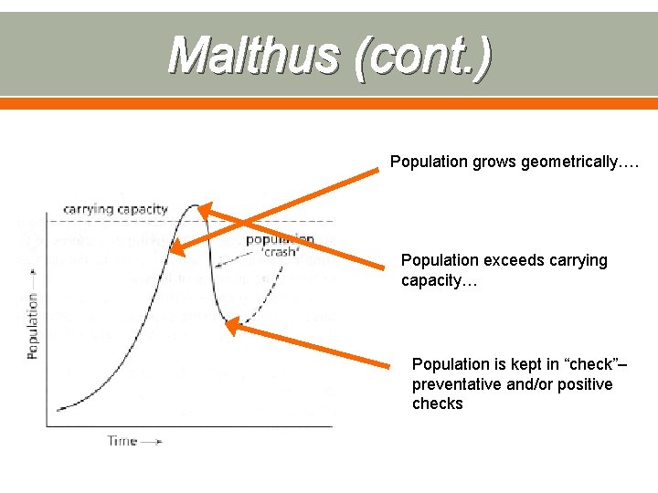 Malthus (cont. ) Population grows geometrically…. Population exceeds carrying capacity… Population is kept in