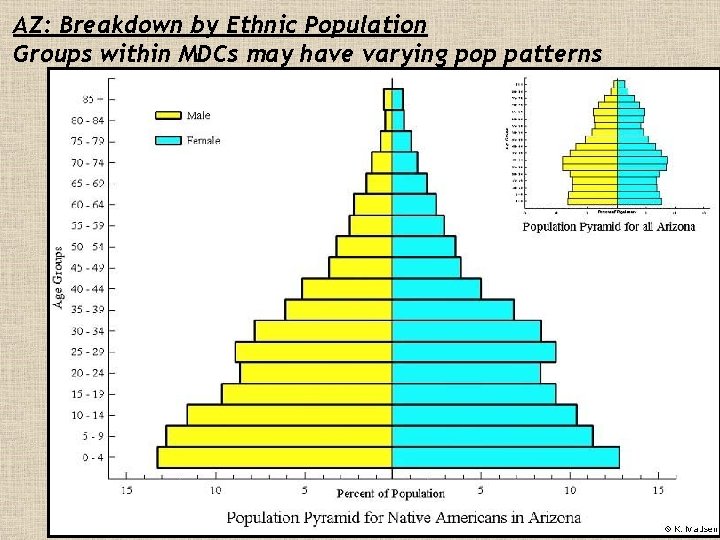 AZ: Breakdown by Ethnic Population Groups within MDCs may have varying pop patterns 