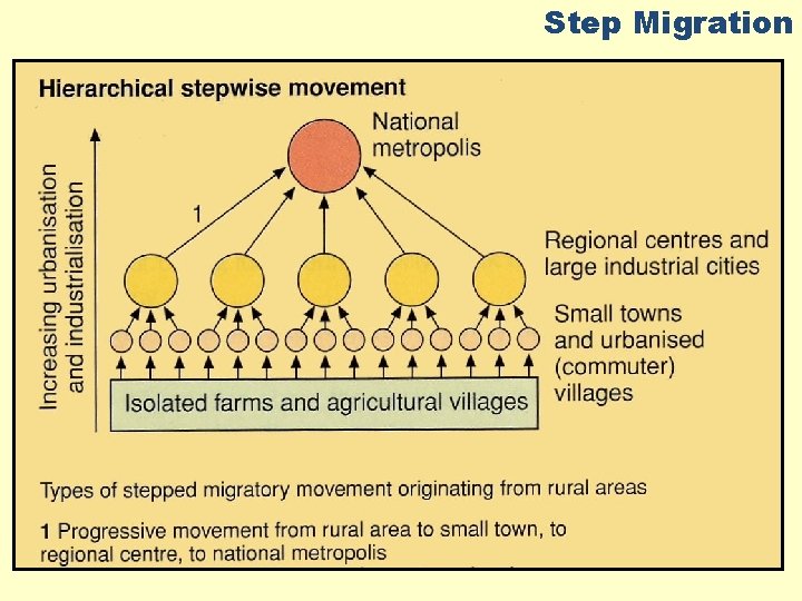 Step Migration 
