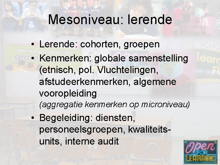 Mesoniveau: lerende • Lerende: cohorten, groepen • Kenmerken: globale samenstelling (etnisch, pol. Vluchtelingen, afstudeerkenmerken,