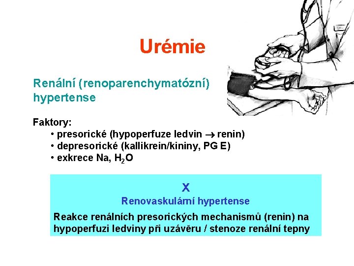 Urémie Renální (renoparenchymatózní) hypertense Faktory: • presorické (hypoperfuze ledvin renin) • depresorické (kallikrein/kininy, PG Urémie Renální (renoparenchymatózní) hypertense Faktory: • presorické (hypoperfuze ledvin renin) • depresorické (kallikrein/kininy, PG
