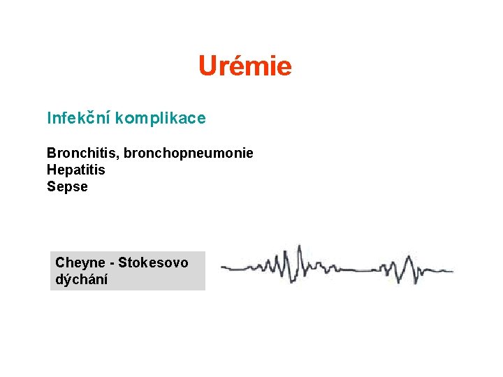 Urémie Infekční komplikace Bronchitis, bronchopneumonie Hepatitis Sepse Cheyne - Stokesovo dýchání Urémie Infekční komplikace Bronchitis, bronchopneumonie Hepatitis Sepse Cheyne - Stokesovo dýchání