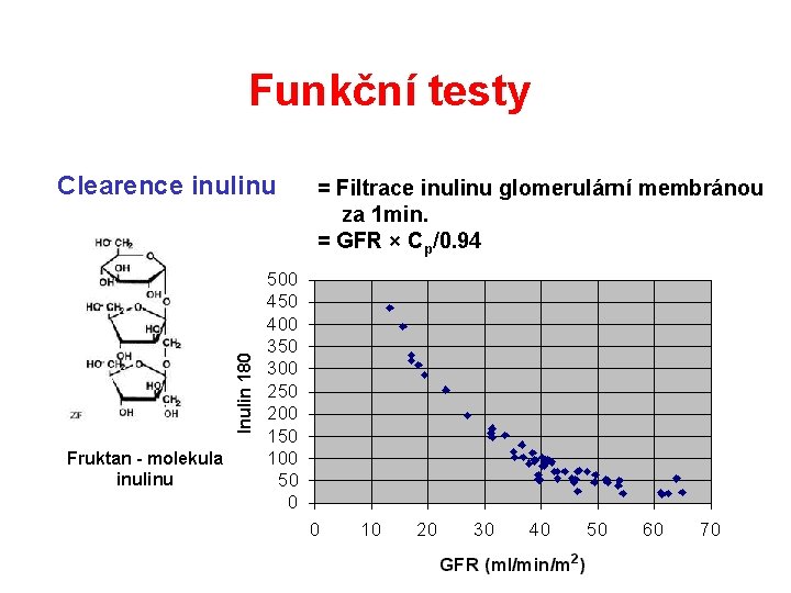 Funkční testy Clearence inulinu Fruktan - molekula inulinu = Filtrace inulinu glomerulární membránou za Funkční testy Clearence inulinu Fruktan - molekula inulinu = Filtrace inulinu glomerulární membránou za