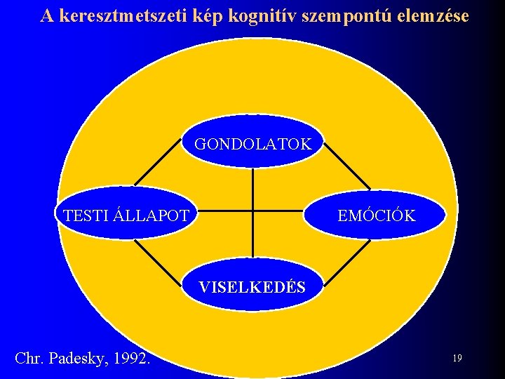 A keresztmetszeti kép kognitív szempontú elemzése GONDOLATOK TESTI ÁLLAPOT EMÓCIÓK VISELKEDÉS Chr. Padesky, 1992.