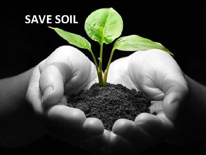 SAVE SOIL 