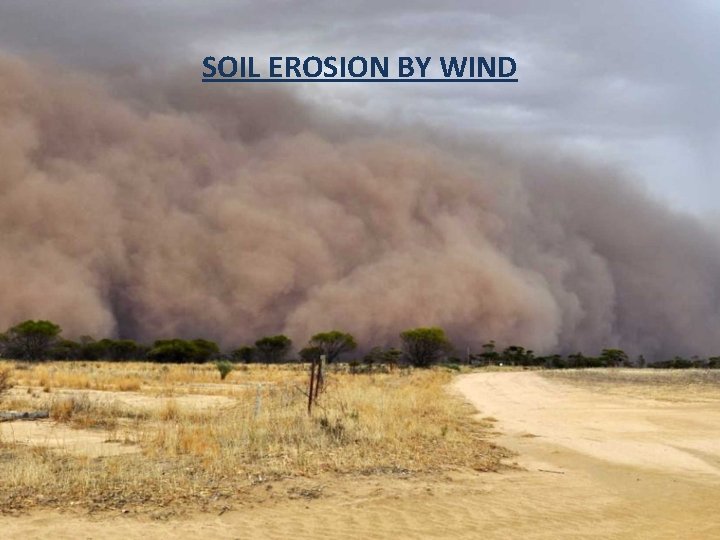 SOIL EROSION BY WIND 