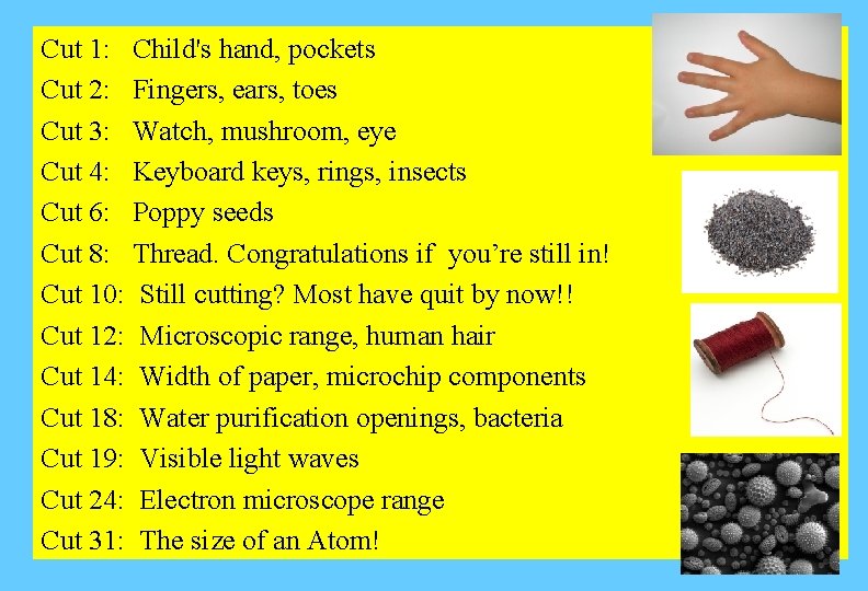 Cut 1: Child's hand, pockets Cut 2: Fingers, ears, toes Cut 3: Watch, mushroom, Cut 1: Child's hand, pockets Cut 2: Fingers, ears, toes Cut 3: Watch, mushroom,