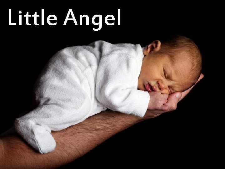 Little Angel Little Angel