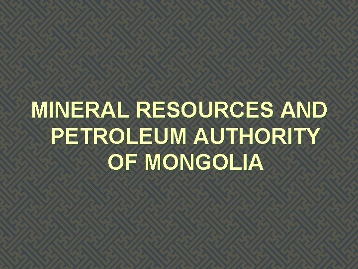 MINERAL RESOURCES AND PETROLEUM AUTHORITY OF MONGOLIA 