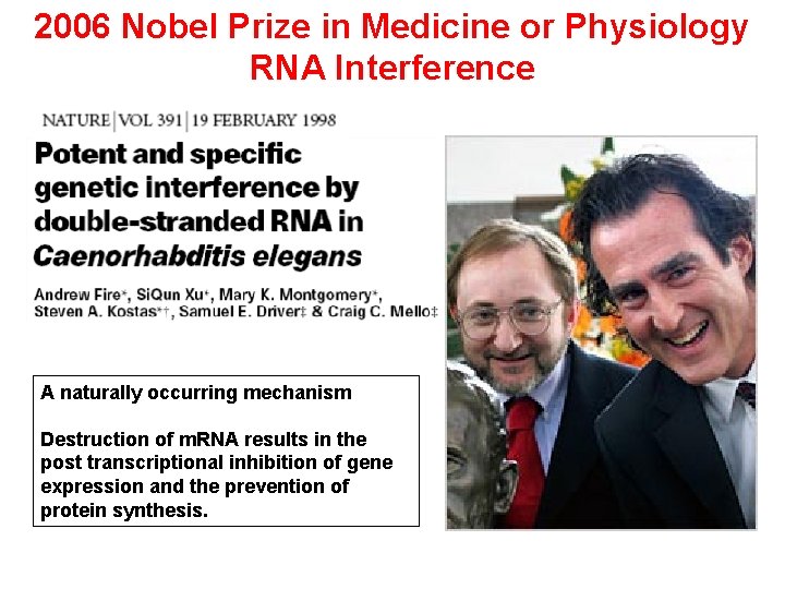2006 Nobel Prize in Medicine or Physiology RNA Interference A naturally occurring mechanism Destruction 2006 Nobel Prize in Medicine or Physiology RNA Interference A naturally occurring mechanism Destruction