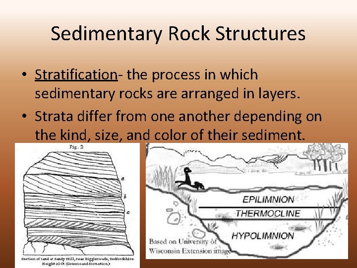 Sedimentary Rock Structures • Stratification- the process in which sedimentary rocks are arranged in