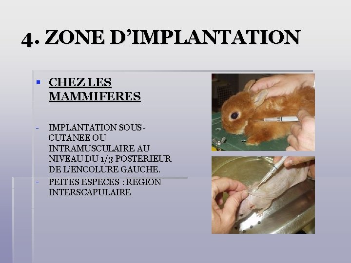 4. ZONE D’IMPLANTATION § CHEZ LES MAMMIFERES - - IMPLANTATION SOUSCUTANEE OU INTRAMUSCULAIRE AU