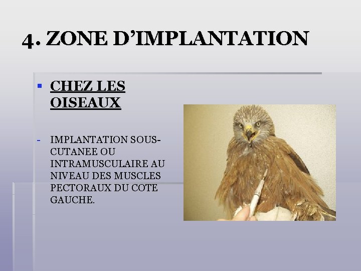 4. ZONE D’IMPLANTATION § CHEZ LES OISEAUX - IMPLANTATION SOUSCUTANEE OU INTRAMUSCULAIRE AU NIVEAU