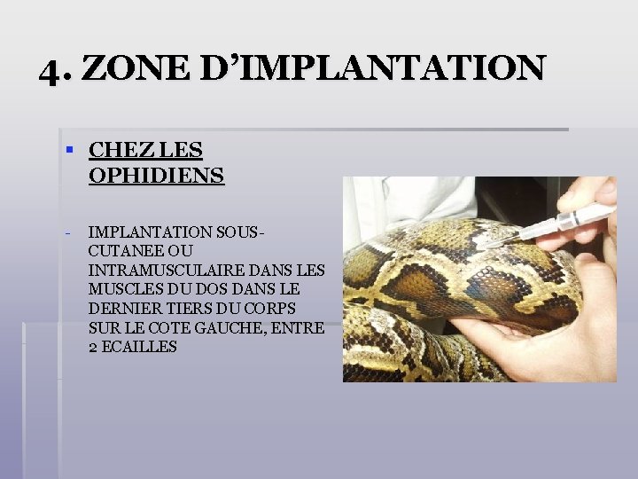 4. ZONE D’IMPLANTATION § CHEZ LES OPHIDIENS - IMPLANTATION SOUSCUTANEE OU INTRAMUSCULAIRE DANS LES