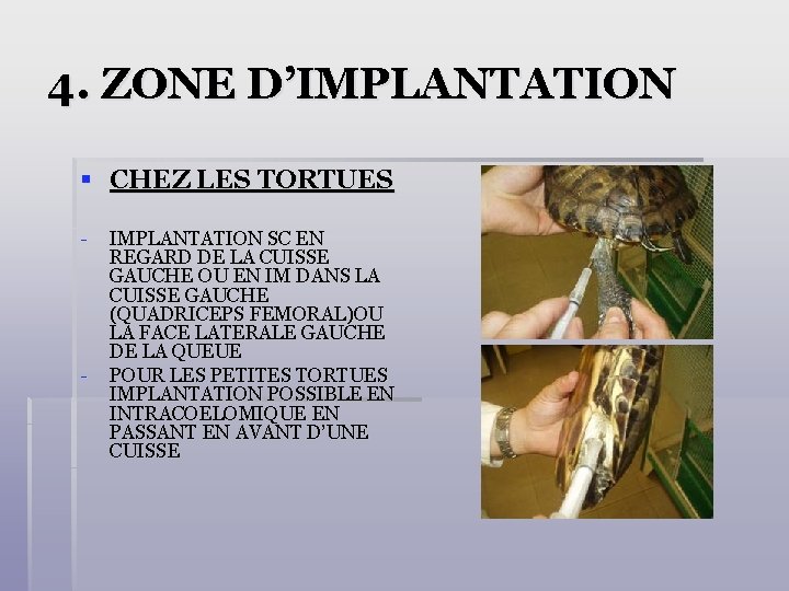 4. ZONE D’IMPLANTATION § CHEZ LES TORTUES - - IMPLANTATION SC EN REGARD DE