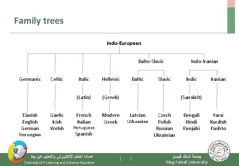 Family trees Indo-European Balto-Slavic Germanic Danish English German Norwegian Celtic Gaelic Irish Welsh Italic