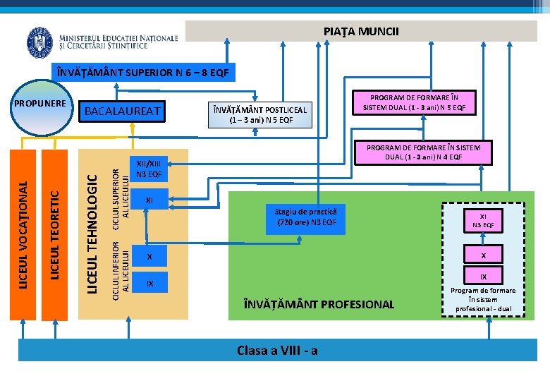 PIAŢA MUNCII ÎNVĂŢĂM NT SUPERIOR N 6 – 8 EQF CICLUL INFERIOR AL LICEULUI