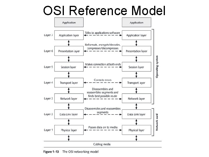 OSI Reference Model 