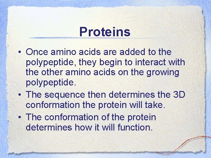 Proteins • Once amino acids are added to the polypeptide, they begin to interact