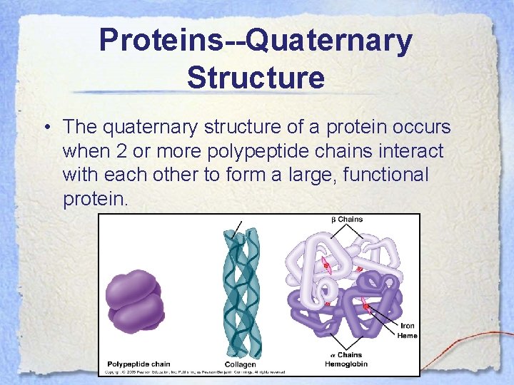 Proteins--Quaternary Structure • The quaternary structure of a protein occurs when 2 or more