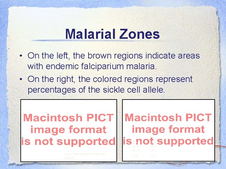 Malarial Zones • On the left, the brown regions indicate areas with endemic falciparium