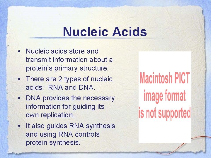 Nucleic Acids • Nucleic acids store and transmit information about a protein’s primary structure.