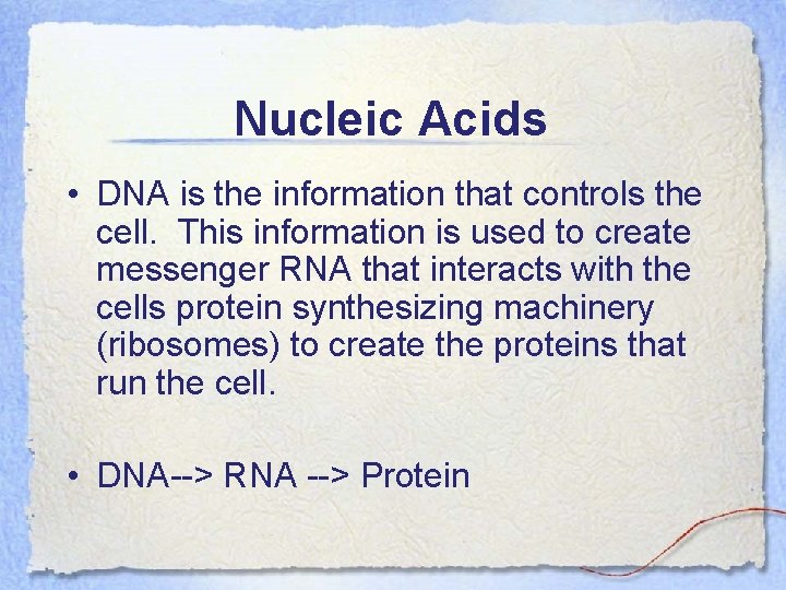 Nucleic Acids • DNA is the information that controls the cell. This information is