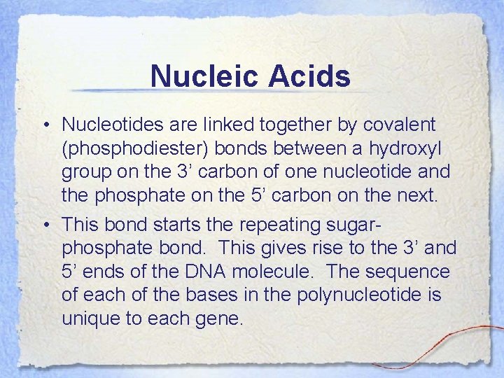 Nucleic Acids • Nucleotides are linked together by covalent (phosphodiester) bonds between a hydroxyl