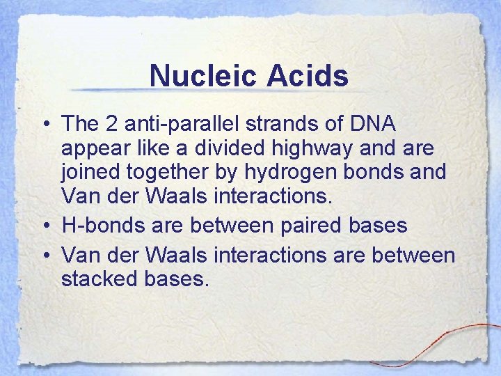 Nucleic Acids • The 2 anti-parallel strands of DNA appear like a divided highway