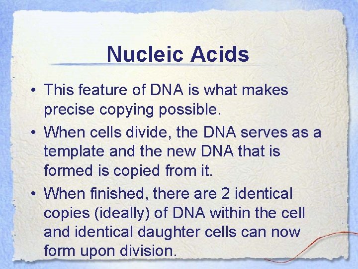 Nucleic Acids • This feature of DNA is what makes precise copying possible. •