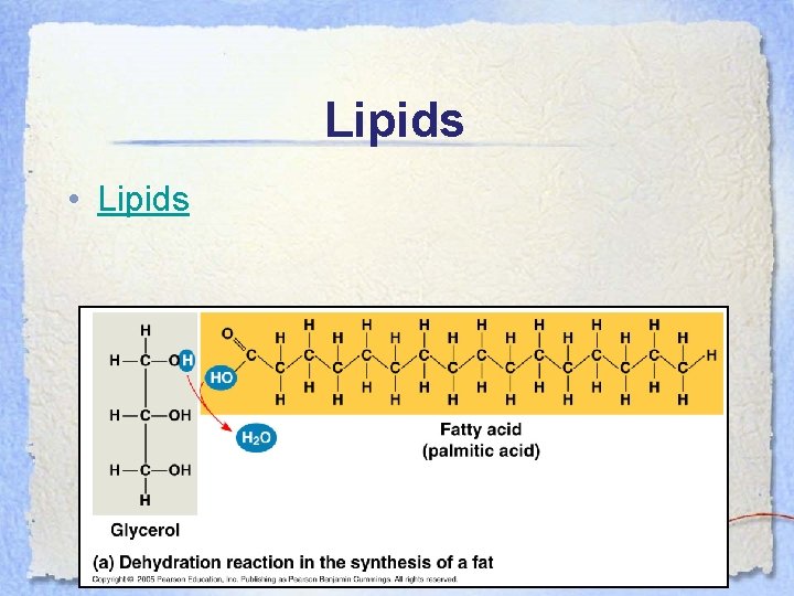 Lipids • Lipids 