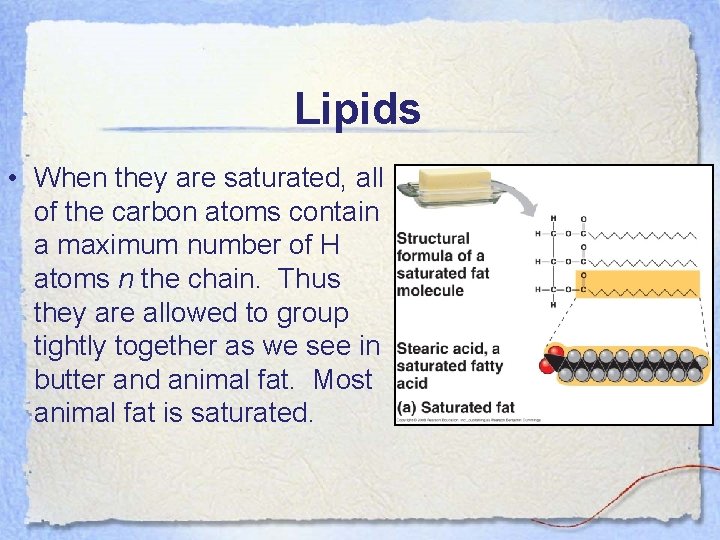 Lipids • When they are saturated, all of the carbon atoms contain a maximum
