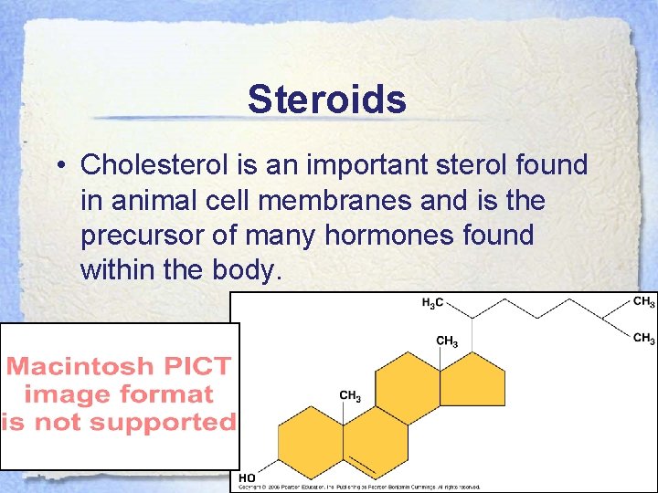 Steroids • Cholesterol is an important sterol found in animal cell membranes and is