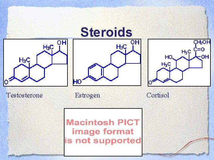 Steroids Testosterone Estrogen Cortisol 