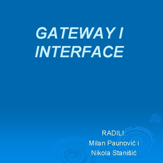 GATEWAY I INTERFACE RADILI: Milan Paunović i Nikola Stanišić 