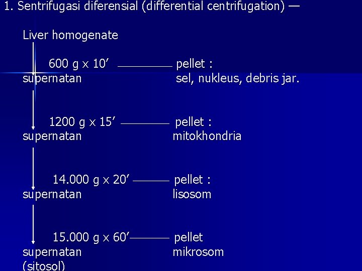 1. Sentrifugasi diferensial (differential centrifugation) — Liver homogenate 600 g x 10’ supernatan pellet