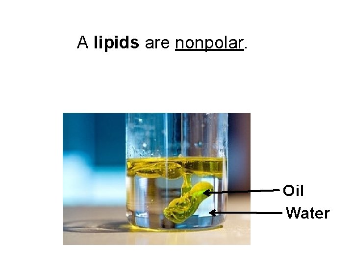 A lipids are nonpolar. Oil Water 