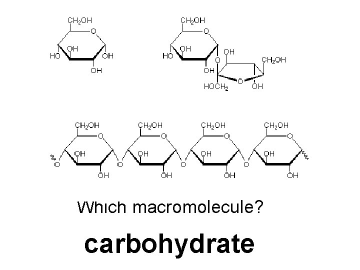Which macromolecule? carbohydrate 